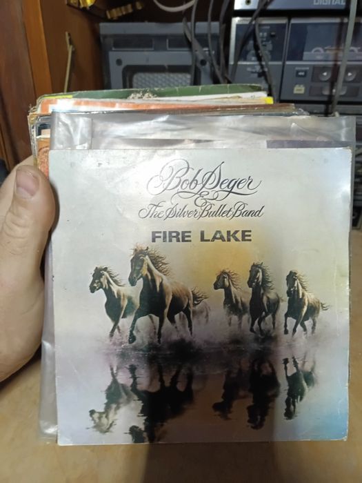 Lote de 250 discos vinil 25 LP e 225 singles
