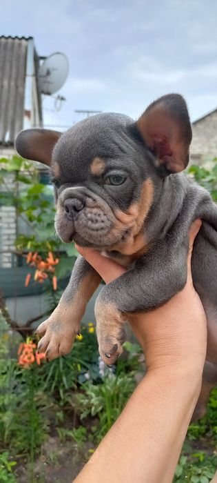 Супер мальчик ждёт Вас