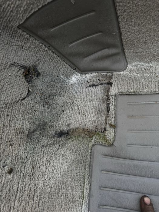 Ковёр (ковролин) бежевый бмв е30 BMW e30