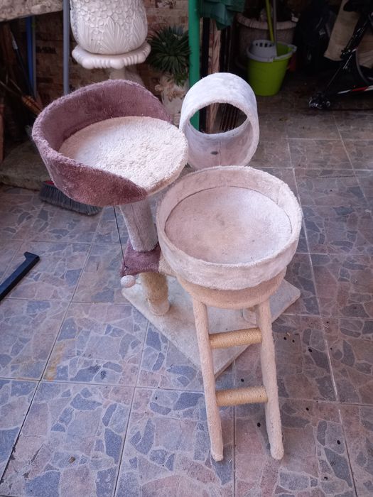 Arranhador pra gatos