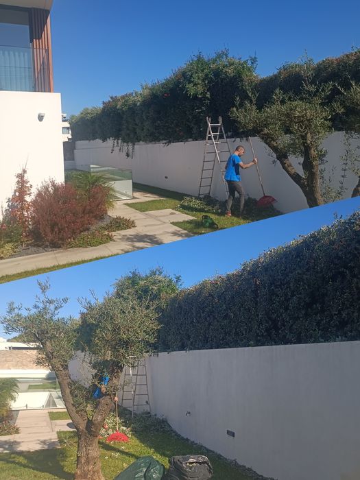 Limpeza de terrenos/ abate de árvores, terra/entulho