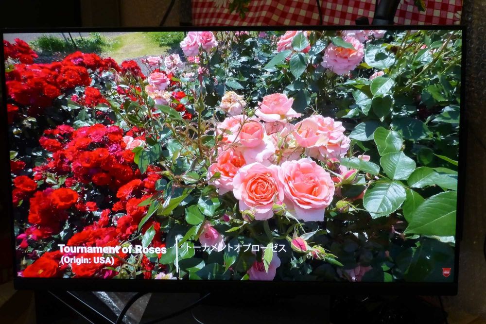 Монітор Dell P2723QE-4K (3840 x 2160)   IPS-матриця,    HDMI 2.0    DP 1.4  USB-C (90W), USB 3.2