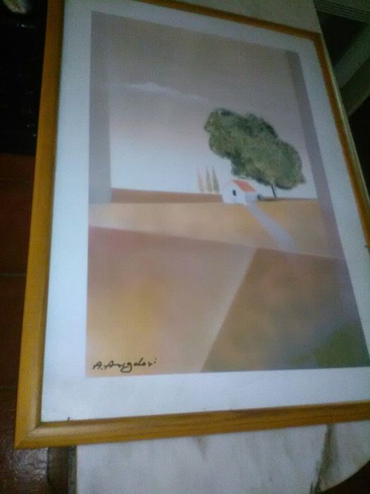 Conjunto de 5 Quadros