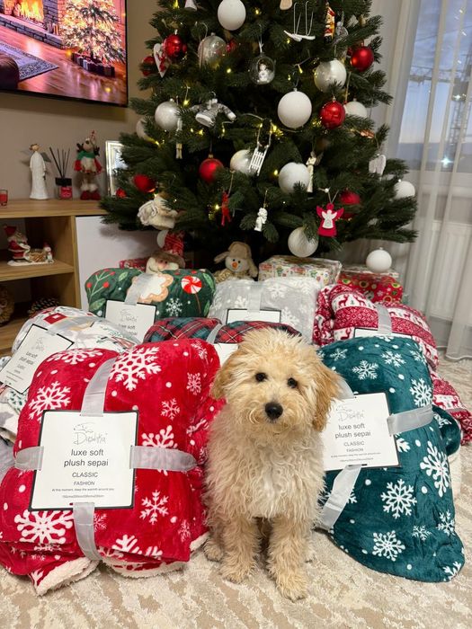 Плед новорічний на овчині