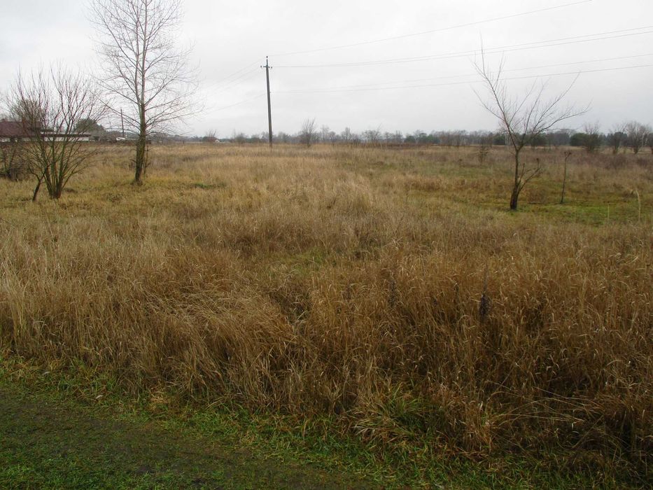 Продаж земельної ділянки 21 сот. Київська обл., с.Жукин      8500$