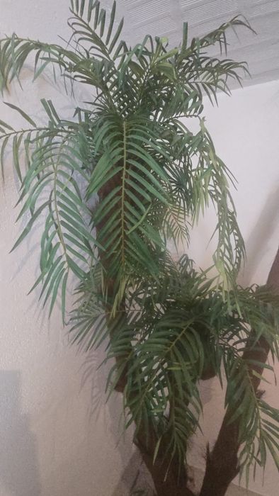 Palmeira artificial