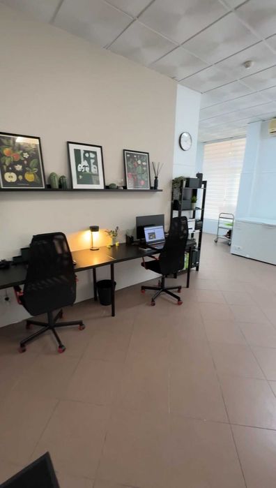 Trepasse Loja de Congelados