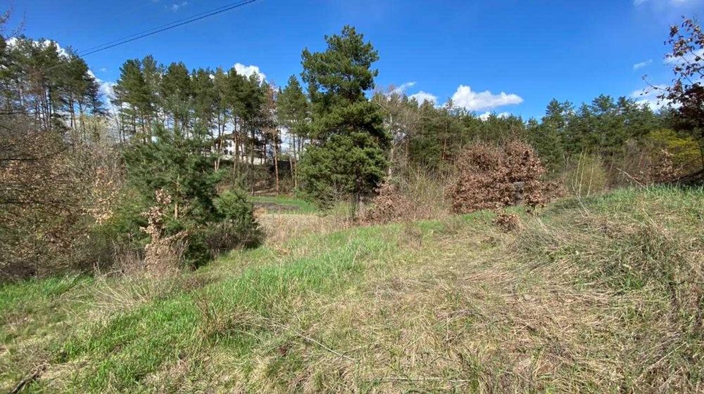 Обухівский р-н, с.Нещерів ділянка 12 соток с виходом в ліс