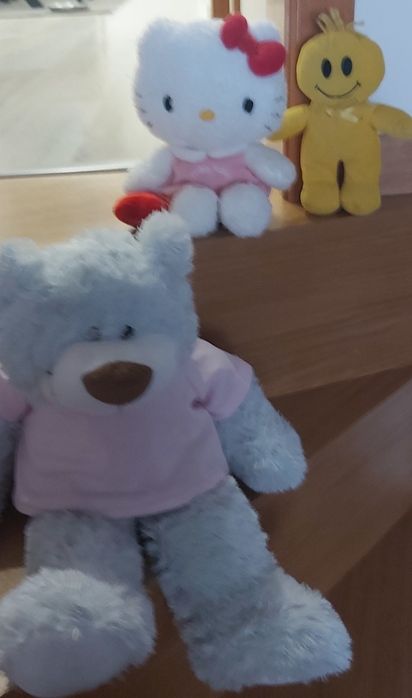 Varios peluches.