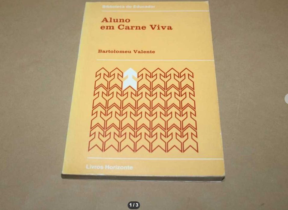 Aluno em Carne Viva// Bartolomeu Valente