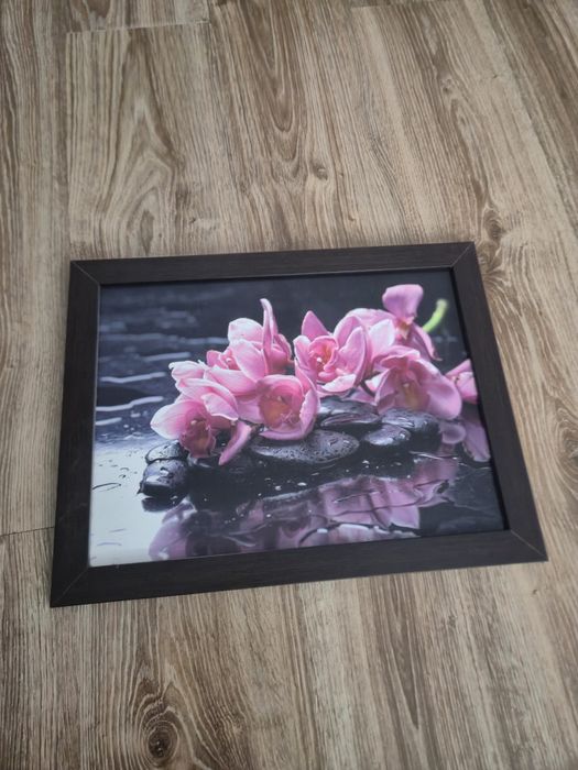 Obraz orchidea stan idealny