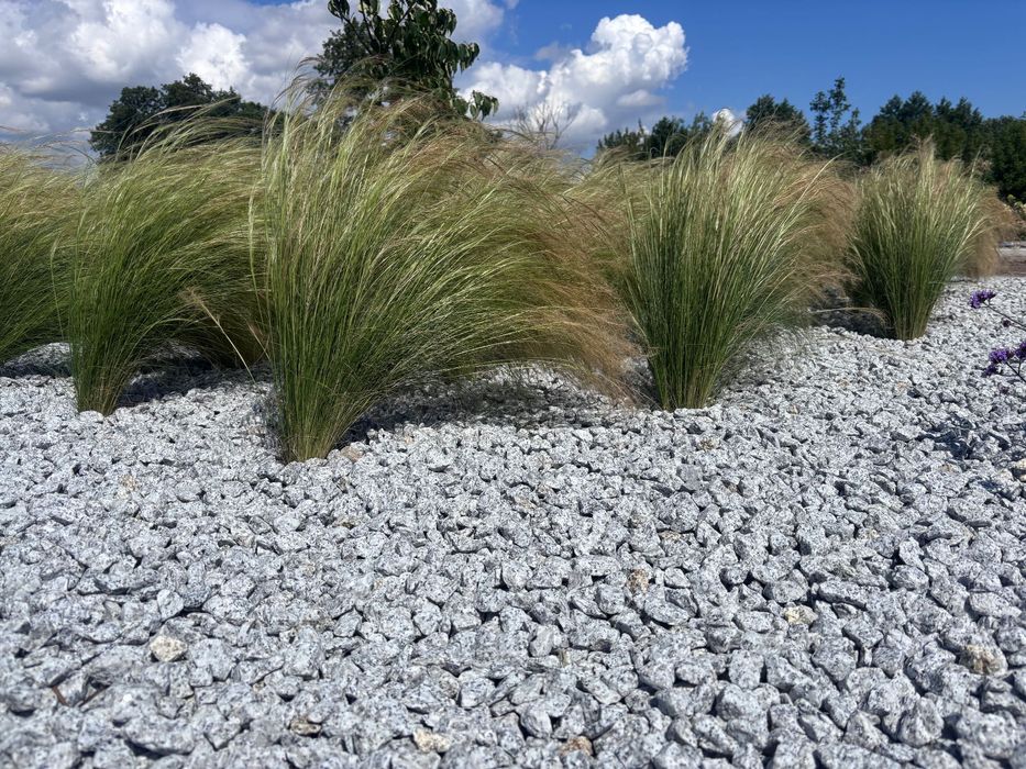 Grys granitowy Dalmatyńczyk - ten właściwy 8-16 & 16-22