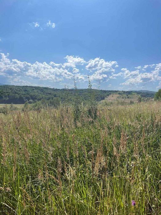 Продам земельну ділянку 25 сотих у с. Вербовець, Косівський р-н