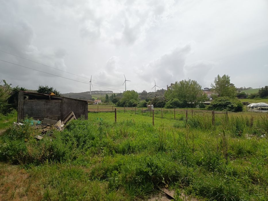 Terreno em torres Vedras — Torres Vedras (São Pedro, Santiago, Santa Maria Do Castelo E São Miguel) E Matacães, Lisboa