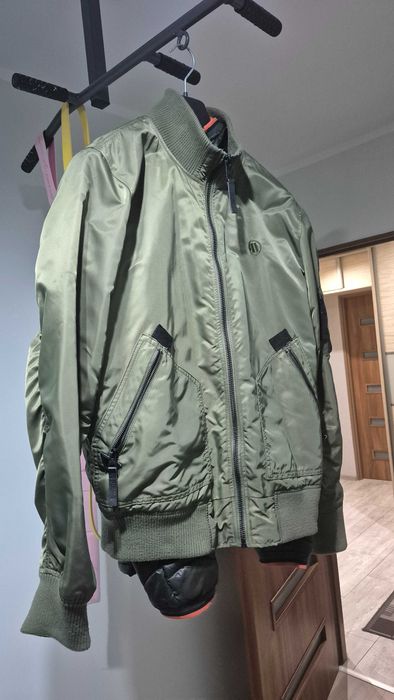 Bamberka Pidbul oliwkowa