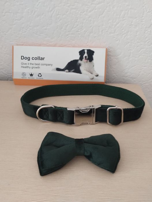 Elegancka obroża dla psa