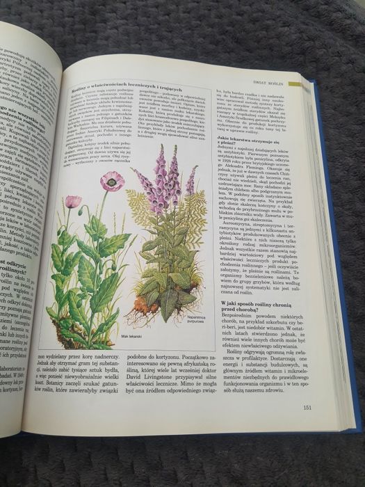 Ksiazka ABC Przyrody