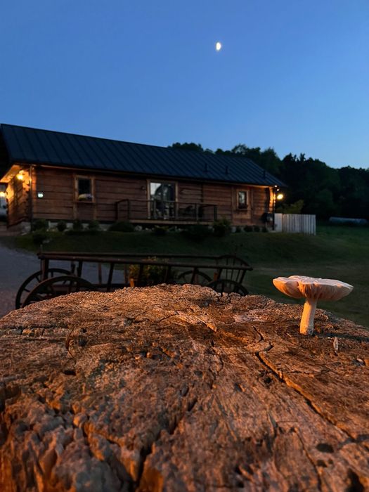 Dom do wynajęcia. Bondyrz Roztocze. cena do ustalenia.