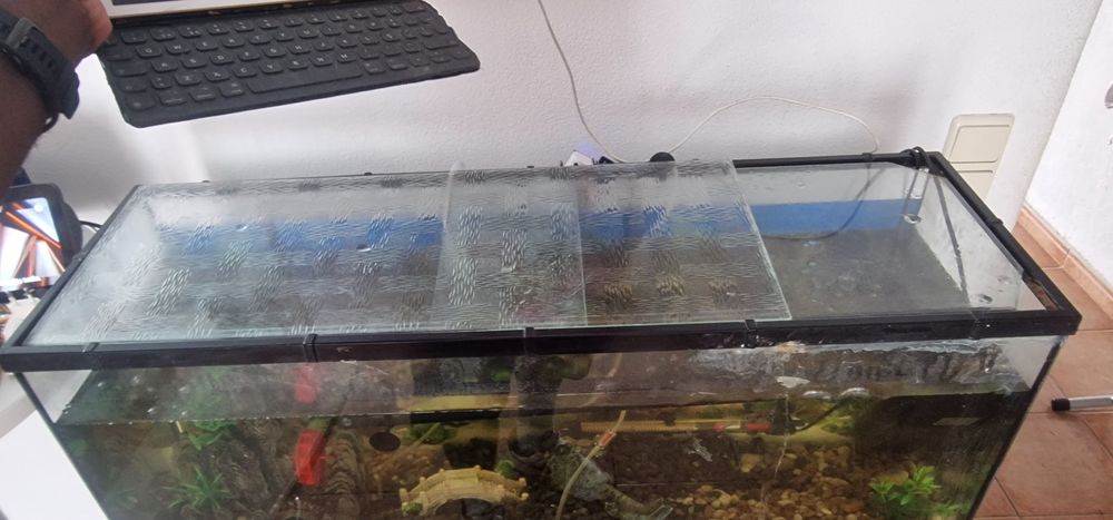 Aquário peixe com bomba de água