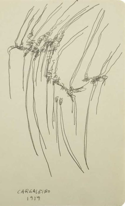 Cargaleiro - Original