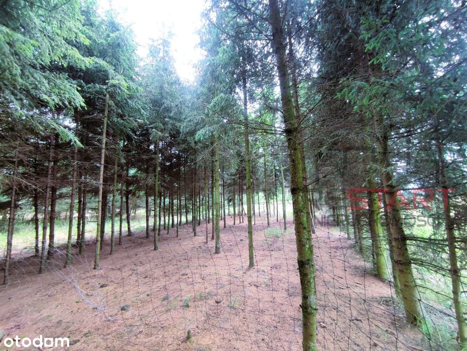 Atrakcyjna działka do zabudowy - Widok 5