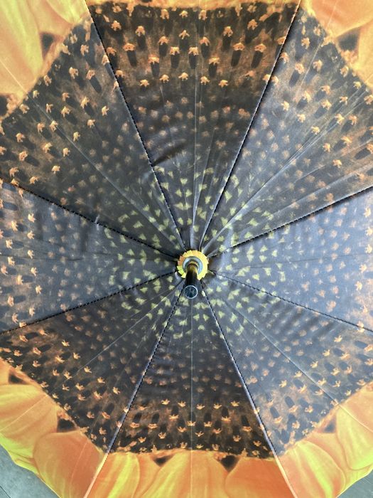 Parasolka damska Automat