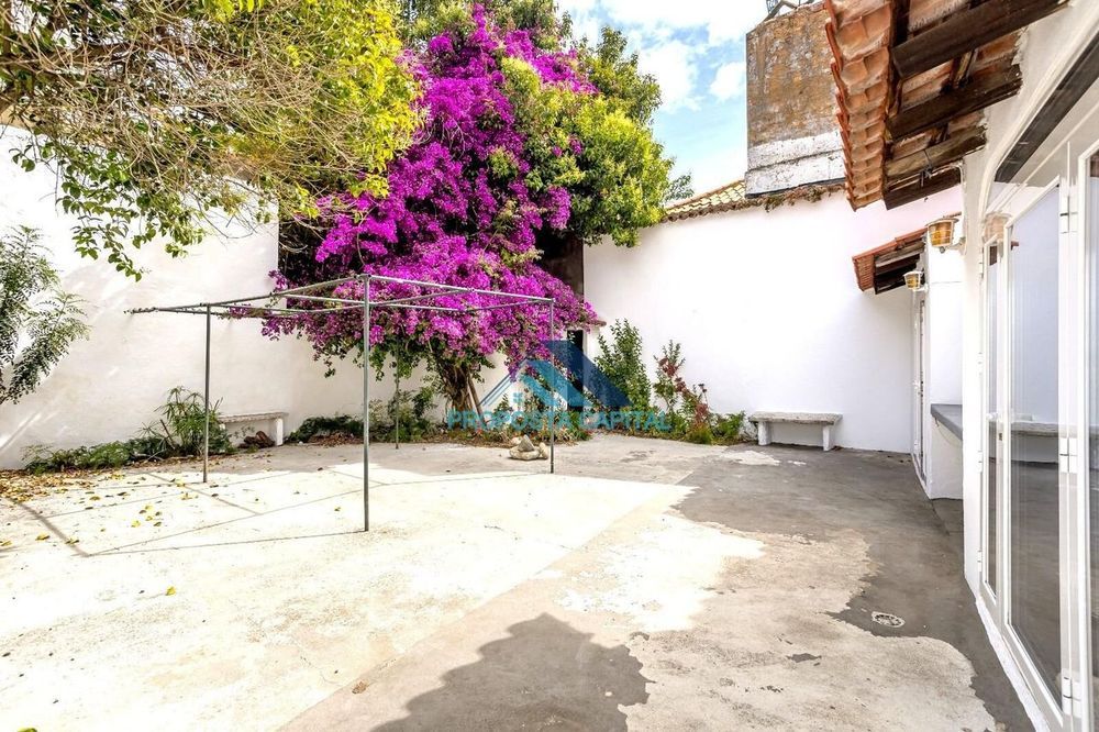 Apartamento T2+1 - Vista de Rio - Pátio/Jardim com anexo