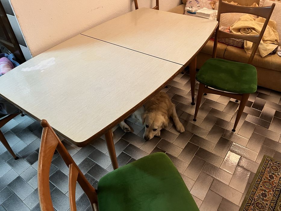 Mesa de Jantar e Cadeiras Vintage / Mid-Century (Estilo Olaio)