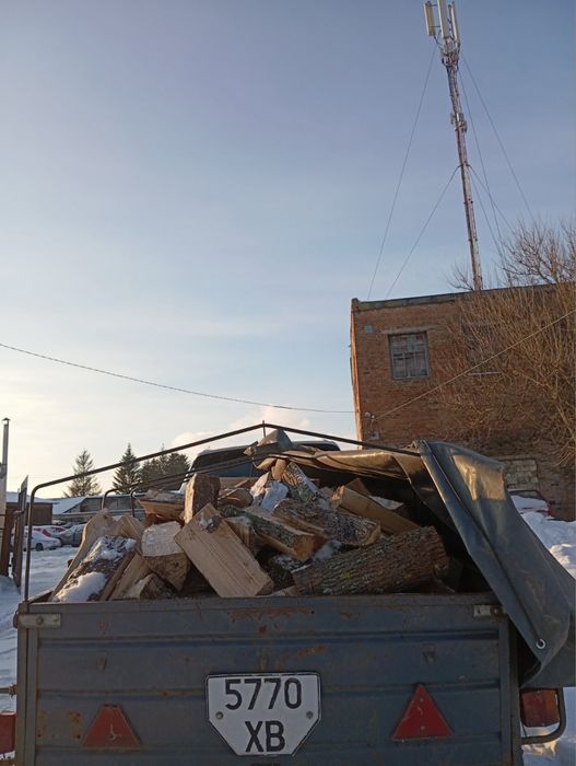 Продам дрова твердих порід