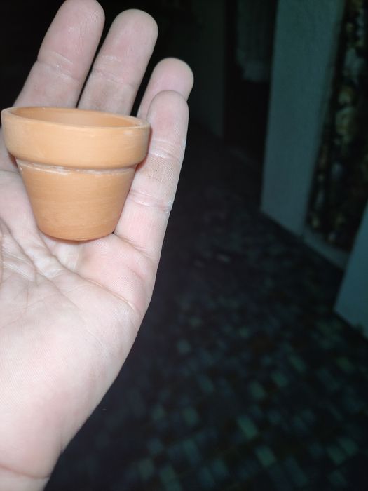 Vasos de argila  reutilizáveis  (20 Vasos)