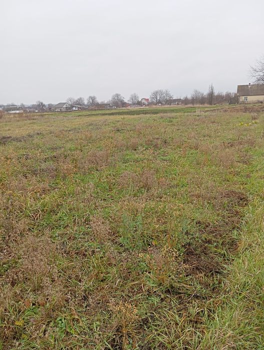 Продам ділянку 25сот зі старим будинком с.Сінгури