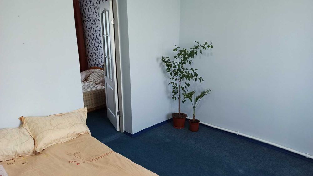 Продам дом 2 этажа 60 соток, гараж, баня,сад, виноградник с.Гребенники