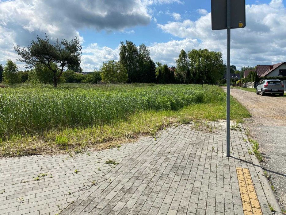 Zdjęcie 8