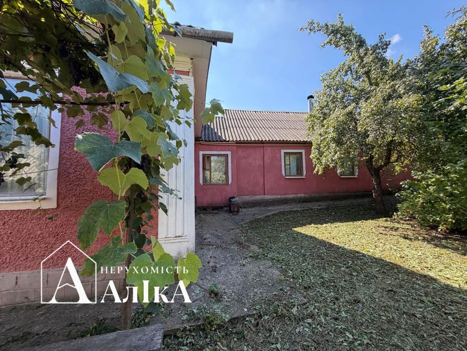 Продам великий будинок на два входи