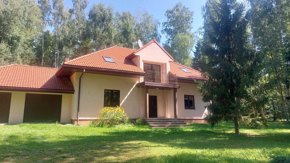 dom do wynajęcia