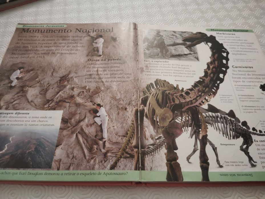 Livros de Dinossauros Usados