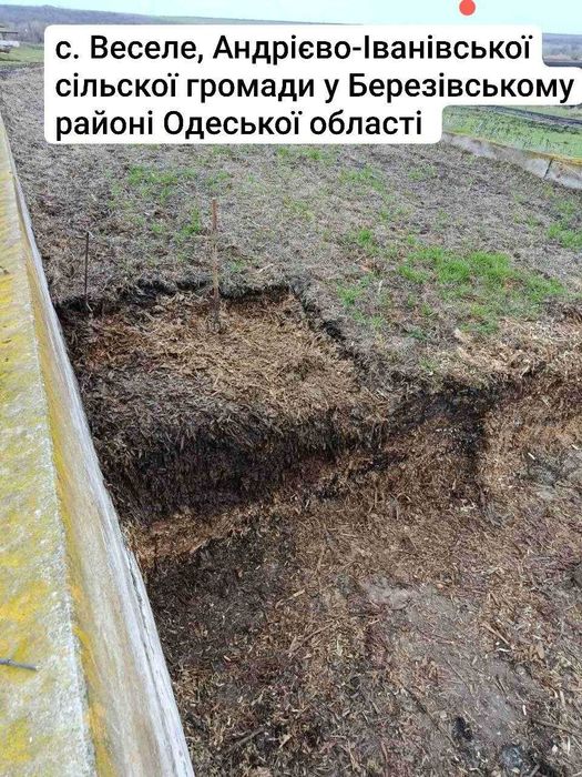 Силос кукурудзянний