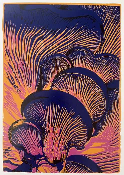 Sitodruk, serigrafia grafika grzyby