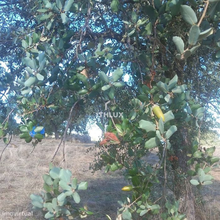 Terreno rústico com aproximadamente 70.000 m2  (7 hectares) para venda