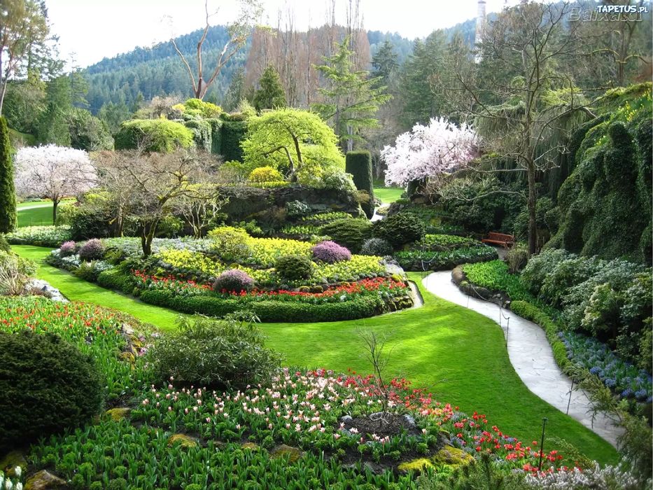 Profesjonalne usługi ogrodnicze-zadbaj o swój ogród!