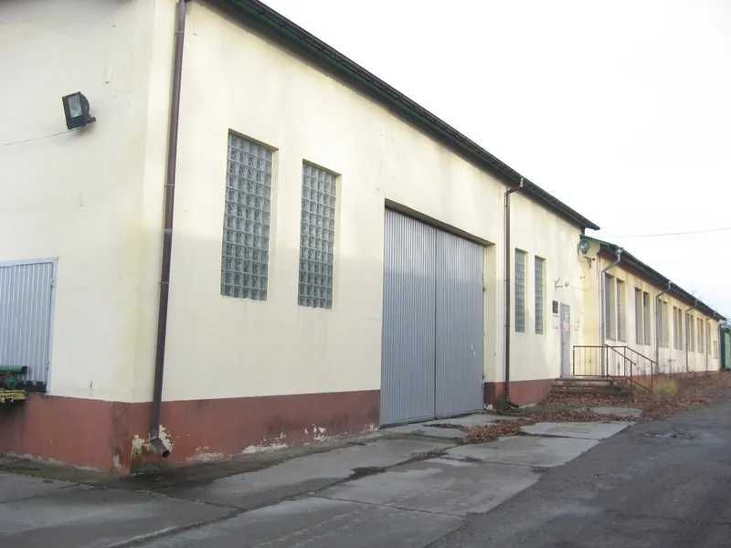 Комплекс переробки деревини, 1726 кв. м, вул. Миколи Микитюка, 103