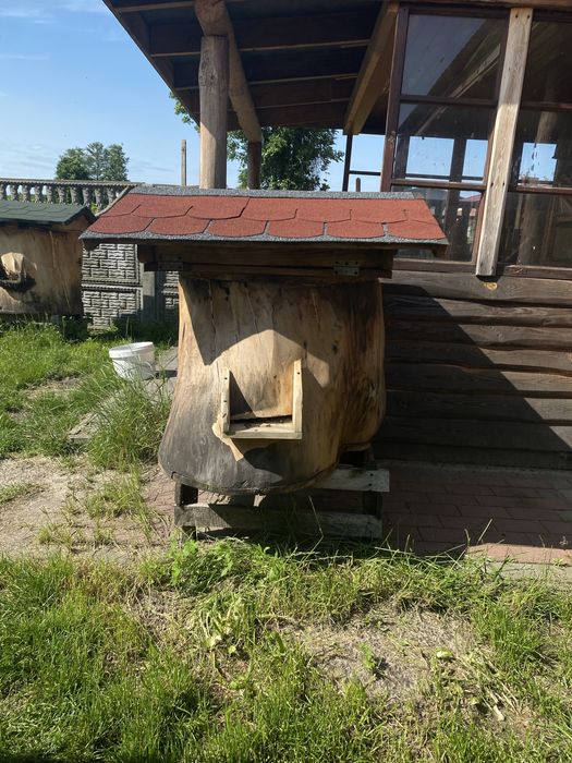 Barc ul z pszczolami i miodem