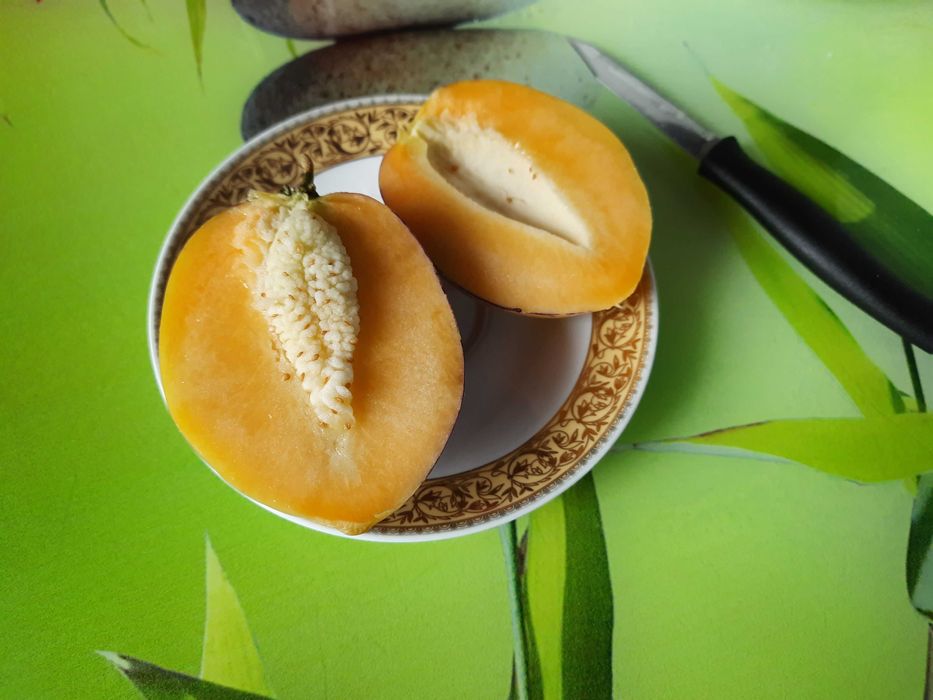 Пепіно Рамзес насіння 15 шт.