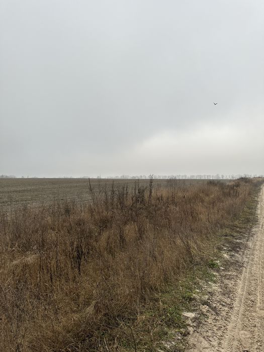 Продаж земелільної ділянки 40 сот. сел. Гостомель