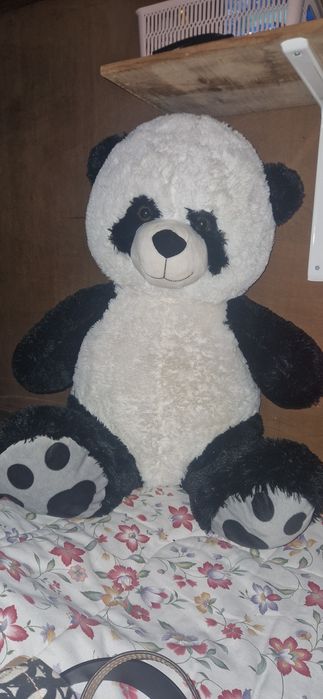 Vendo panda Muito fofo