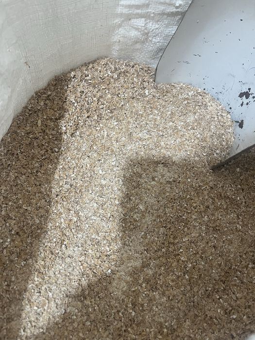 Висівки пшеничні