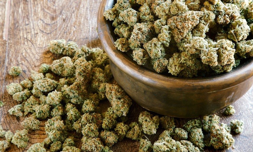 Susz Cbd, Łomża dowóz, konopie indyjskie, marihuana 6-16%