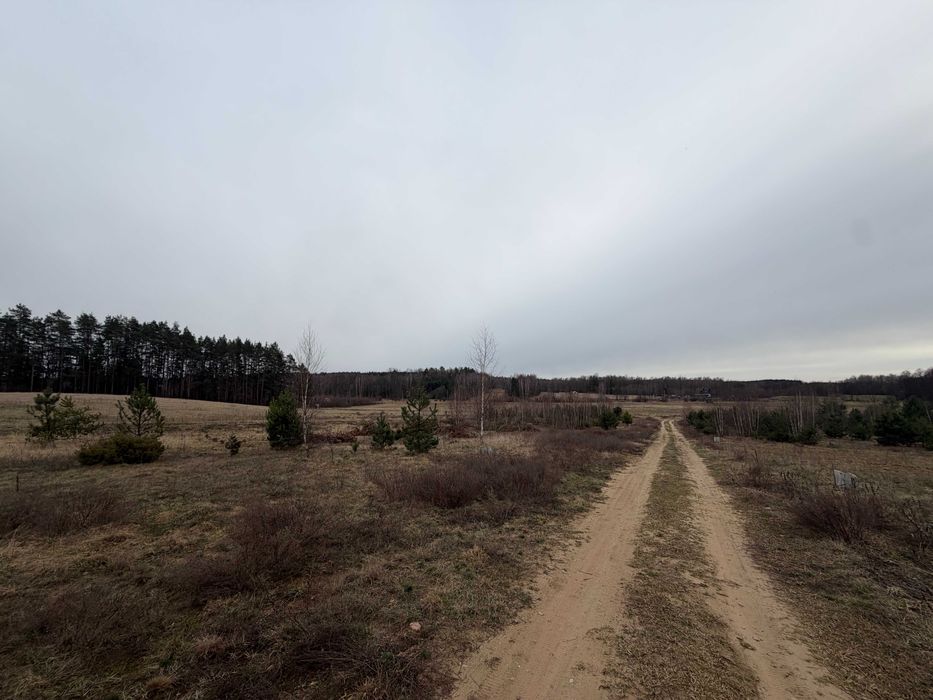 Działka NIEWODNICA KOŚCIELNA budowlana 1012 m² | MPZP | widok na las