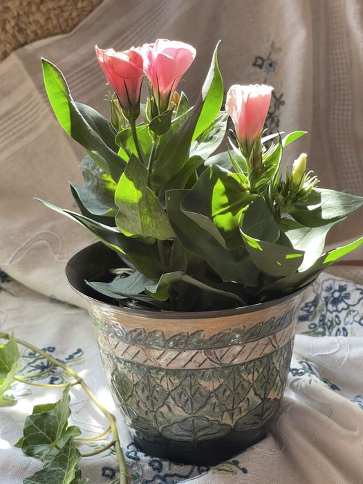 Кашпо для квітів, латунь