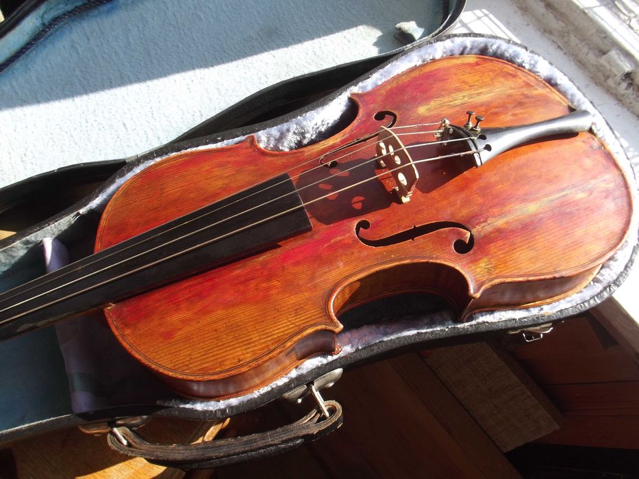 Altówka 407 markowa